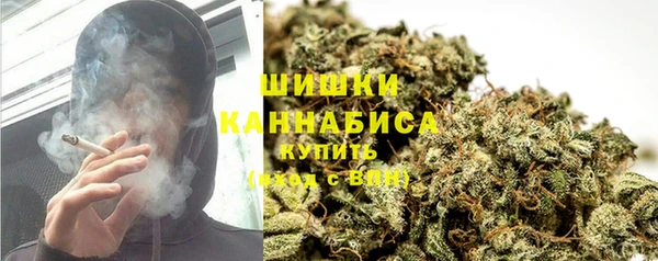 гидра Дмитриев