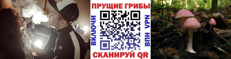 Галлюциногенные грибы прущие грибы  Сосновоборск 