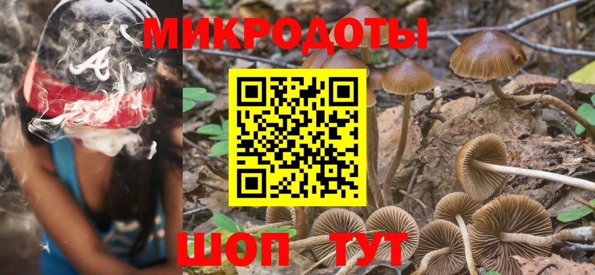 Псилоцибиновые грибы прущие грибы Сосновоборск