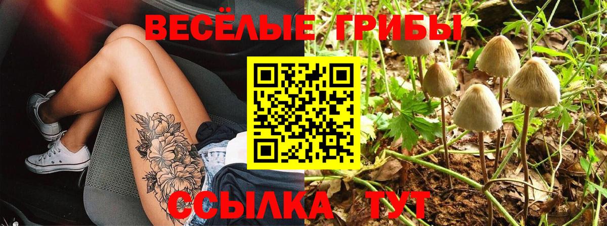 Галлюциногенные грибы ЛСД Сосновоборск