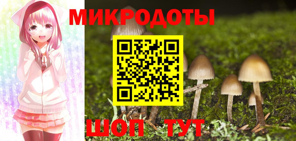 Галлюциногенные грибы Psilocybine cubensis  Сосновоборск 