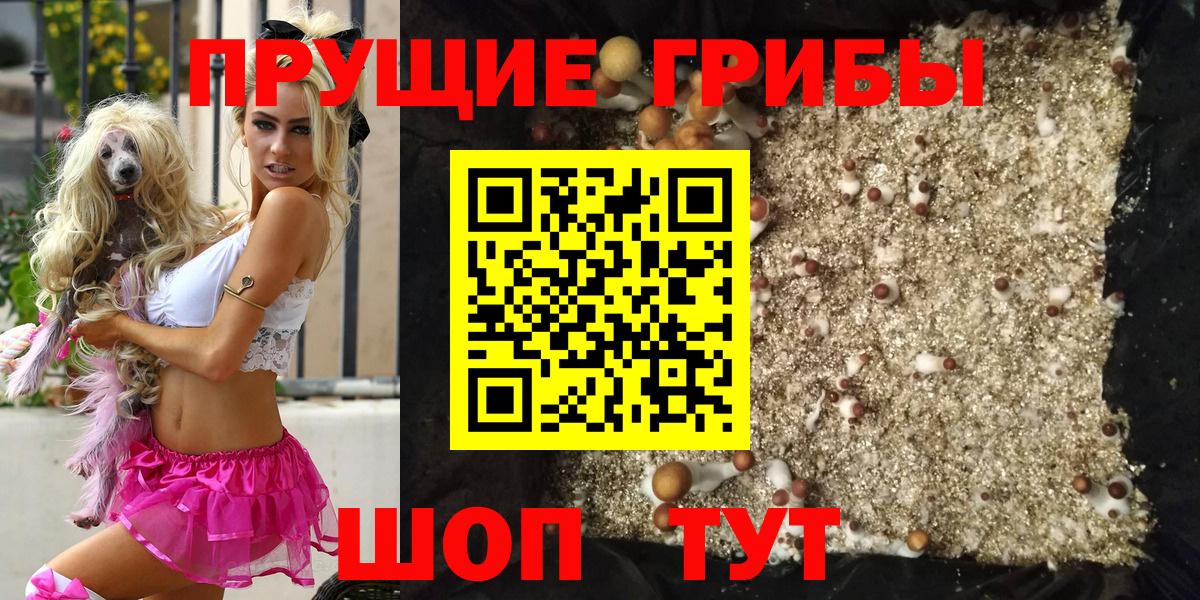 Псилоцибиновые грибы Psilocybe  Вход с VPN  Сосновоборск 